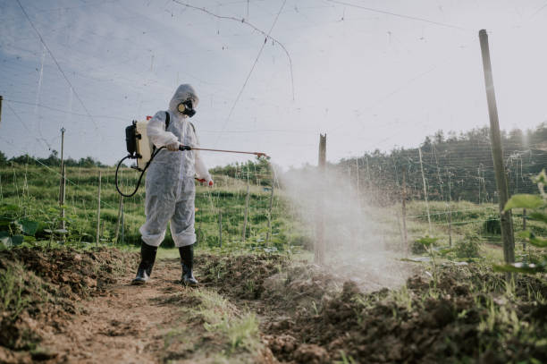 Best Ant Control Services  in Prieville, NC