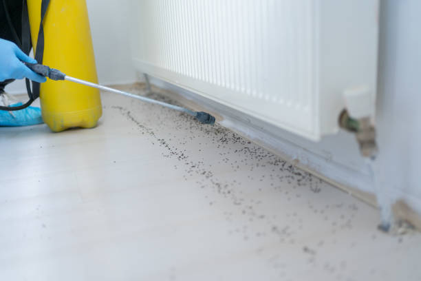 Best Pest Prevention Services  in Prieville, NC