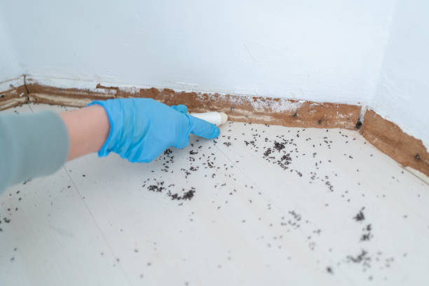 Best Pest Control Near Me  in Prieville, NC