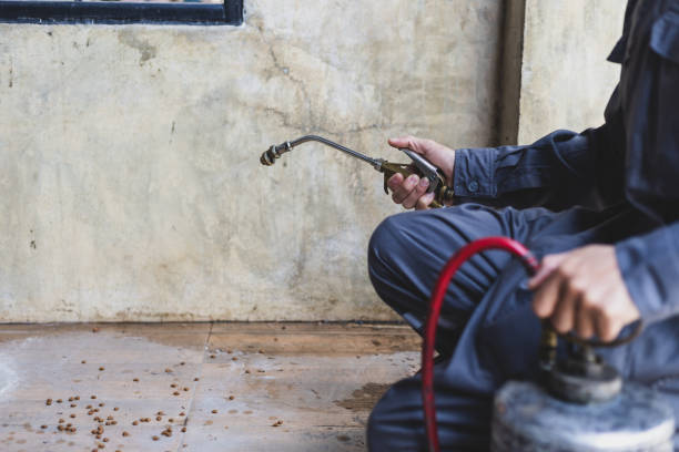 Best Pest Inspection Near Me  in Prieville, NC